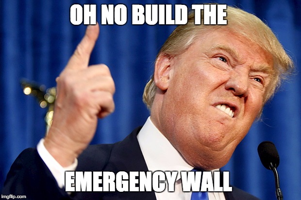 Donald Trump | OH NO BUILD THE; EMERGENCY WALL | image tagged in donald trump | made w/ Imgflip meme maker
