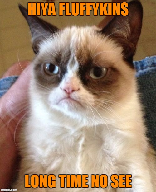 Grumpy Cat Meme | HIYA FLUFFYKINS LONG TIME NO SEE | image tagged in memes,grumpy cat | made w/ Imgflip meme maker