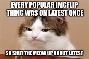 Disappointed Cat | EVERY POPULAR IMGFLIP THING WAS ON LATEST ONCE; SO SHUT THE MEOW UP ABOUT LATEST | image tagged in disappointed cat | made w/ Imgflip meme maker