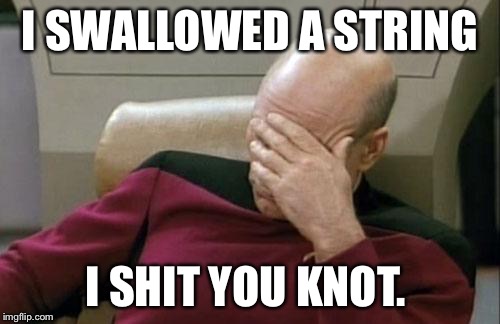 Captain Picard Facepalm | I SWALLOWED A STRING; I SHIT YOU KNOT. | image tagged in memes,captain picard facepalm | made w/ Imgflip meme maker