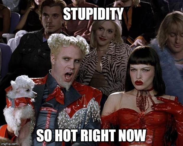 Zoolander so hot right now | STUPIDITY; SO HOT RIGHT NOW | image tagged in zoolander so hot right now | made w/ Imgflip meme maker