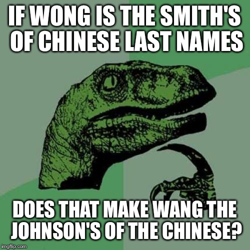 Philosoraptor | IF WONG IS THE SMITH'S OF CHINESE LAST NAMES; DOES THAT MAKE WANG THE JOHNSON'S OF THE CHINESE? | image tagged in memes,philosoraptor | made w/ Imgflip meme maker