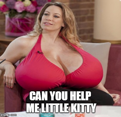CAN YOU HELP ME LITTLE KITTY | made w/ Imgflip meme maker