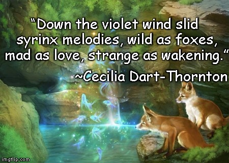 Magic Pond | “Down the violet wind slid syrinx melodies, wild as foxes, mad as love, strange as wakening.”; ~Cecilia Dart-Thornton | image tagged in cecilia dart-thornton,foxes,faerie,music,enchantment | made w/ Imgflip meme maker