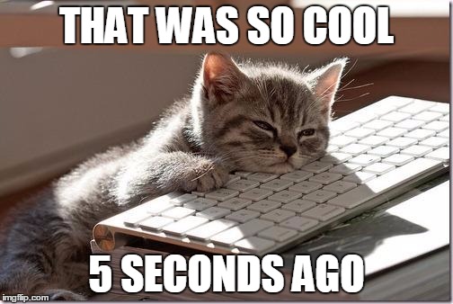 Bored Keyboard Cat | THAT WAS SO COOL; 5 SECONDS AGO | image tagged in bored keyboard cat | made w/ Imgflip meme maker