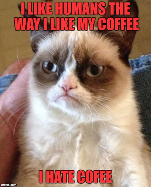 Grumpy Cat Meme | I LIKE HUMANS THE WAY I LIKE MY COFFEE I HATE COFEE | image tagged in memes,grumpy cat | made w/ Imgflip meme maker