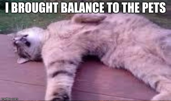 I BROUGHT BALANCE TO THE PETS | made w/ Imgflip meme maker