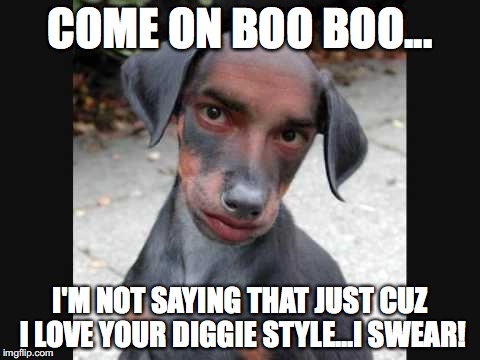 Dog face
 | COME ON BOO BOO... I'M NOT SAYING THAT JUST CUZ I LOVE YOUR DIGGIE STYLE...I SWEAR! | image tagged in dog face | made w/ Imgflip meme maker