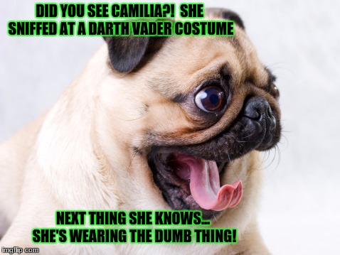 DID YOU SEE CAMILIA?!  SHE SNIFFED AT A DARTH VADER COSTUME; NEXT THING SHE KNOWS... SHE'S WEARING THE DUMB THING! | image tagged in funny | made w/ Imgflip meme maker