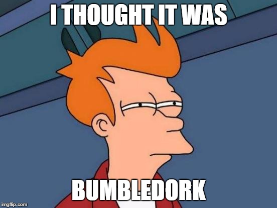 Futurama Fry Meme | I THOUGHT IT WAS BUMBLEDORK | image tagged in memes,futurama fry | made w/ Imgflip meme maker