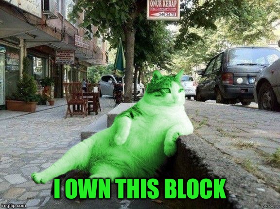 RayCat relaxing | I OWN THIS BLOCK | image tagged in raycat relaxing | made w/ Imgflip meme maker