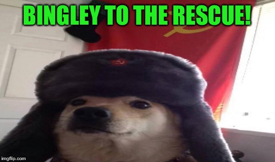 BINGLEY TO THE RESCUE! | made w/ Imgflip meme maker