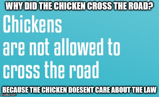 Chicken | WHY DID THE CHICKEN CROSS THE ROAD? BECAUSE THE CHICKEN DOESENT CARE ABOUT THE LAW | image tagged in law | made w/ Imgflip meme maker