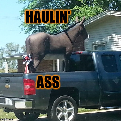 Haulin' Ass | HAULIN'; ASS | image tagged in haulin' ass,packin' ass,that's a lot of ass | made w/ Imgflip meme maker