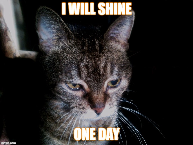 The day will come | I WILL SHINE; ONE DAY | image tagged in shine | made w/ Imgflip meme maker