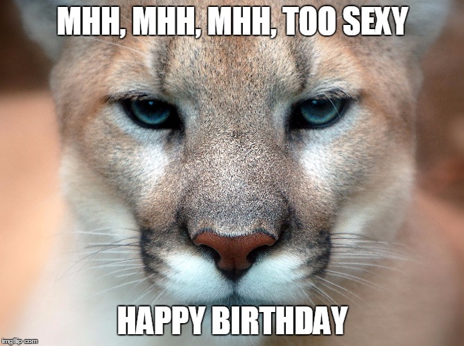 MHH, MHH, MHH, TOO SEXY; HAPPY BIRTHDAY | image tagged in sexy | made w/ Imgflip meme maker