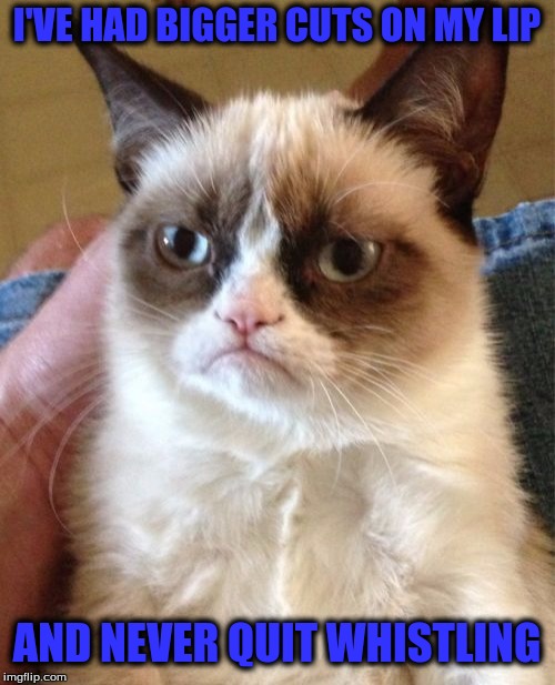 Grumpy Cat Meme | I'VE HAD BIGGER CUTS ON MY LIP AND NEVER QUIT WHISTLING | image tagged in memes,grumpy cat | made w/ Imgflip meme maker