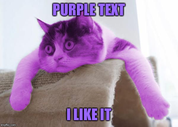 RayCat Stare | PURPLE TEXT I LIKE IT | image tagged in raycat stare | made w/ Imgflip meme maker