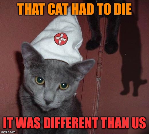 THAT CAT HAD TO DIE IT WAS DIFFERENT THAN US | made w/ Imgflip meme maker