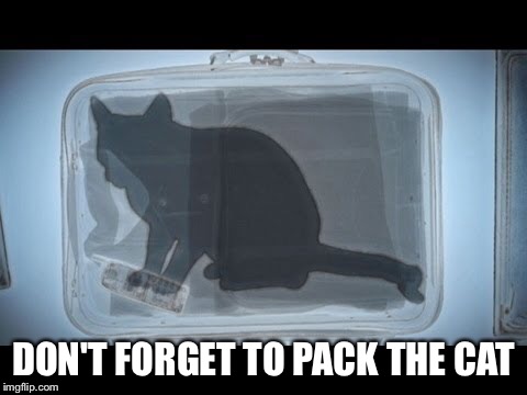 DON'T FORGET TO PACK THE CAT | made w/ Imgflip meme maker
