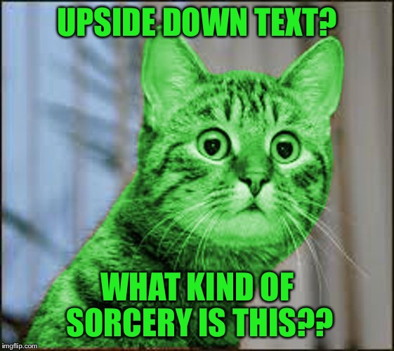RayCat WTF | UPSIDE DOWN TEXT? WHAT KIND OF SORCERY IS THIS?? | image tagged in raycat wtf | made w/ Imgflip meme maker