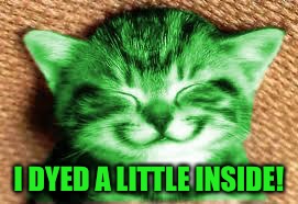 happy RayCat | I DYED A LITTLE INSIDE! | image tagged in happy raycat | made w/ Imgflip meme maker