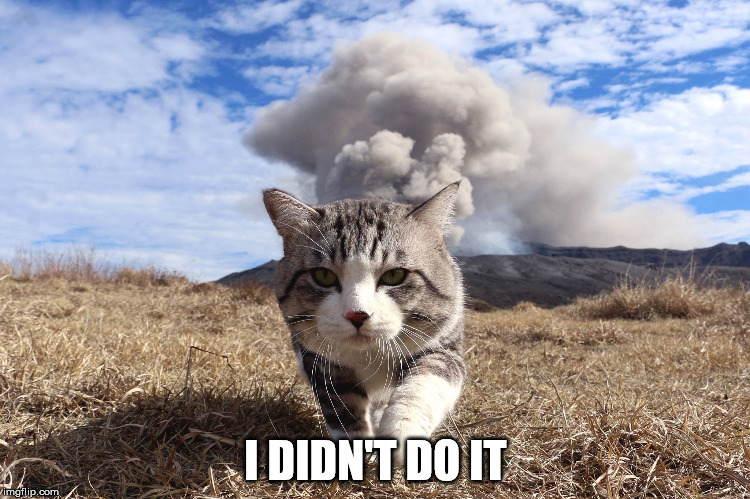 I didn't do it | I DIDN'T DO IT | image tagged in cat,volcano,didn't do it | made w/ Imgflip meme maker