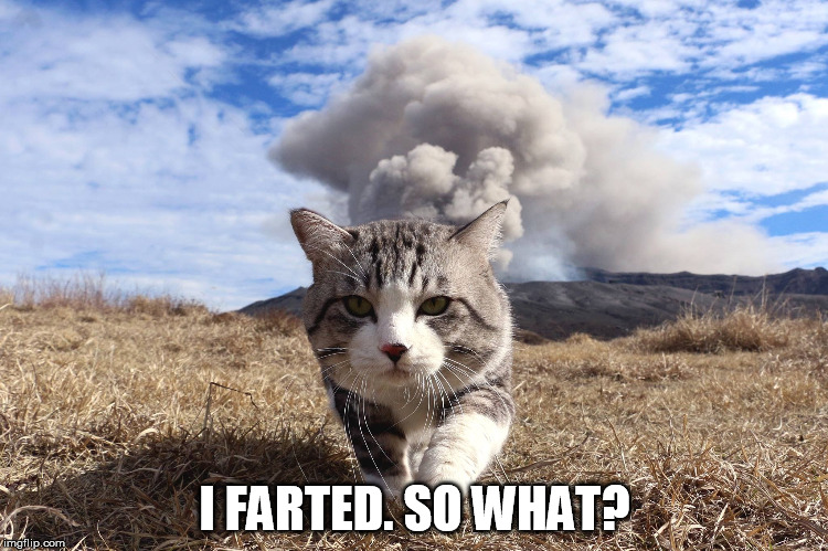 I Farted Cat | I FARTED. SO WHAT? | image tagged in fart,i farted,so what,i farted so what,cat,volcano | made w/ Imgflip meme maker