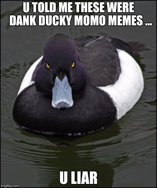 Angry duck | U TOLD ME THESE WERE 
DANK DUCKY MOMO MEMES ... U LIAR | image tagged in angry duck | made w/ Imgflip meme maker