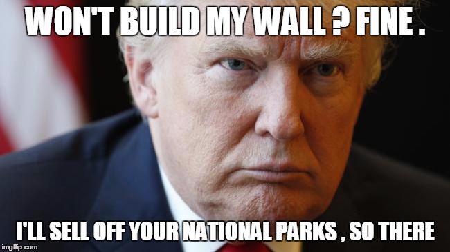 WON'T BUILD MY WALL ? FINE . I'LL SELL OFF YOUR NATIONAL PARKS , SO THERE | image tagged in politics | made w/ Imgflip meme maker