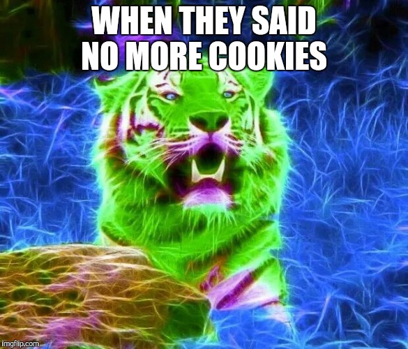WHEN THEY SAID NO MORE COOKIES | image tagged in cookies,tigers | made w/ Imgflip meme maker