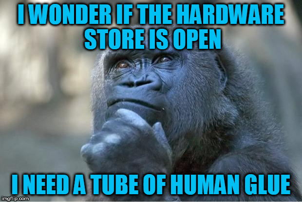A TammyFaye dad joke - whenever he sees a GorillaGlue commercial | I WONDER IF THE HARDWARE STORE IS OPEN; I NEED A TUBE OF HUMAN GLUE | image tagged in the thinking gorilla | made w/ Imgflip meme maker
