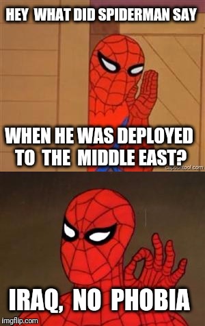 Bad Pun Spiderman | HEY  WHAT DID SPIDERMAN SAY; WHEN HE WAS DEPLOYED TO  THE  MIDDLE EAST? IRAQ,  NO  PHOBIA | image tagged in bad pun,spiderman,iraq,phobia | made w/ Imgflip meme maker