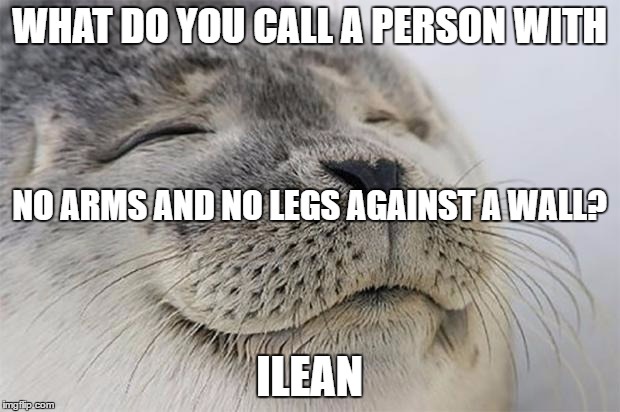 Satisfied Seal | WHAT DO YOU CALL A PERSON WITH; NO ARMS AND NO LEGS AGAINST A WALL? ILEAN | image tagged in memes,satisfied seal | made w/ Imgflip meme maker