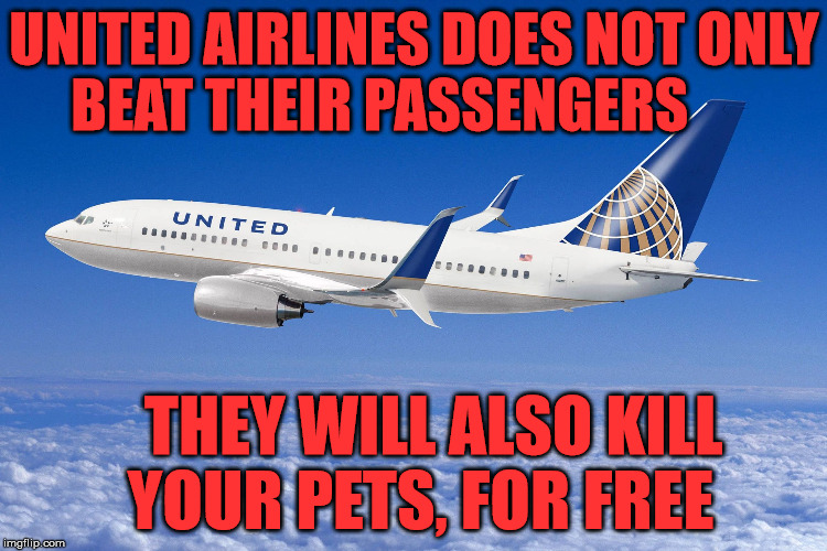 United airlines | UNITED AIRLINES DOES NOT ONLY BEAT THEIR PASSENGERS; THEY WILL ALSO KILL YOUR PETS, FOR FREE | image tagged in united airlines | made w/ Imgflip meme maker