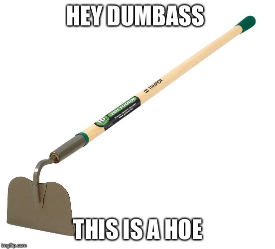 HEY DUMBASS; THIS IS A HOE | image tagged in hoe | made w/ Imgflip meme maker