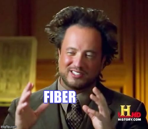 Ancient Aliens Meme | FIBER | image tagged in memes,ancient aliens | made w/ Imgflip meme maker