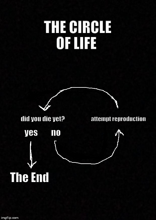 Blank  | THE CIRCLE OF LIFE; attempt reproduction; did you die yet? yes        no; The End | image tagged in blank | made w/ Imgflip meme maker