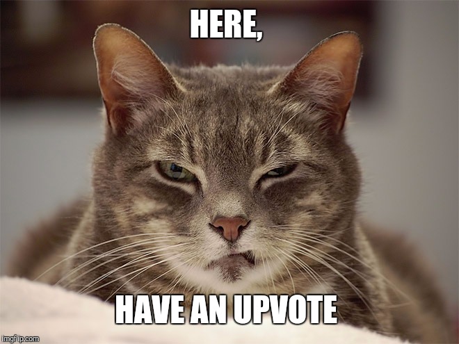 Sarcasm Cat | HERE, HAVE AN UPVOTE | image tagged in sarcasm cat | made w/ Imgflip meme maker