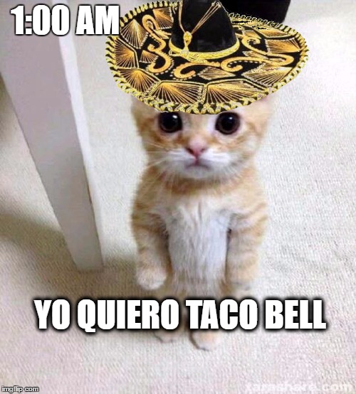 cute cat in hat | 1:00 AM; YO QUIERO TACO BELL | image tagged in cute cat in hat | made w/ Imgflip meme maker