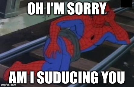 Sexy Railroad Spiderman | OH I'M SORRY; AM I SUDUCING YOU | image tagged in memes,sexy railroad spiderman,spiderman | made w/ Imgflip meme maker