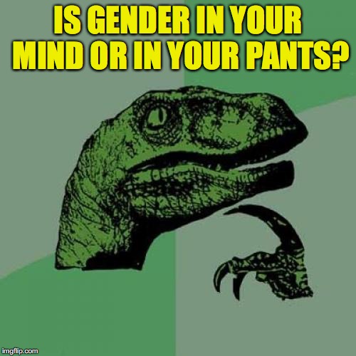 Where is gender? | IS GENDER IN YOUR MIND OR IN YOUR PANTS? | image tagged in memes,philosoraptor,gender confusion | made w/ Imgflip meme maker