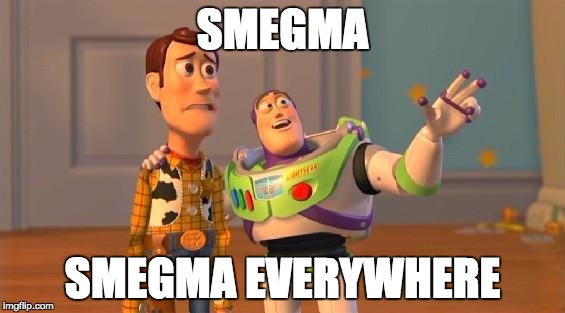 TOYSTORY EVERYWHERE | SMEGMA; SMEGMA EVERYWHERE | image tagged in toystory everywhere | made w/ Imgflip meme maker