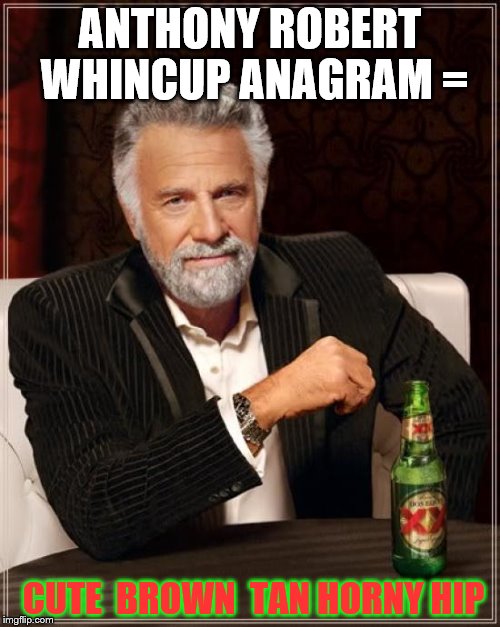 The Most Interesting Man In The World Meme | ANTHONY ROBERT WHINCUP ANAGRAM =; CUTE  BROWN  TAN HORNY HIP | image tagged in memes,the most interesting man in the world | made w/ Imgflip meme maker