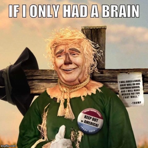 Donald Trump the scarecrow  | image tagged in donald trump | made w/ Imgflip meme maker