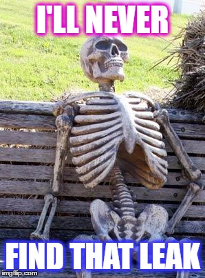 Waiting Skeleton | I'LL NEVER; FIND THAT LEAK | image tagged in memes,waiting skeleton | made w/ Imgflip meme maker