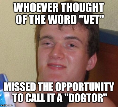 10 Guy Meme | WHOEVER THOUGHT OF THE WORD "VET"; MISSED THE OPPORTUNITY TO CALL IT A "DOGTOR" | image tagged in memes,10 guy | made w/ Imgflip meme maker