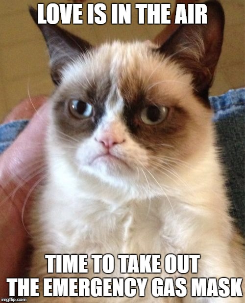 Can't breathe. Love is filling my lungs instead of essential oxygen | LOVE IS IN THE AIR; TIME TO TAKE OUT THE EMERGENCY GAS MASK | image tagged in memes,grumpy cat,funny,gifs,love,hate | made w/ Imgflip meme maker