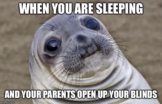 Awkward Moment Sealion | WHEN YOU ARE SLEEPING; AND YOUR PARENTS OPEN UP YOUR BLINDS | image tagged in memes,awkward moment sealion | made w/ Imgflip meme maker