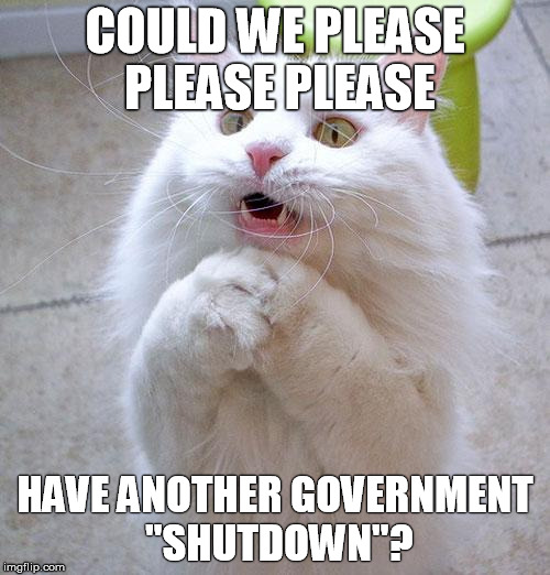 Begging Cat | COULD WE PLEASE PLEASE PLEASE; HAVE ANOTHER GOVERNMENT "SHUTDOWN"? | image tagged in begging cat | made w/ Imgflip meme maker